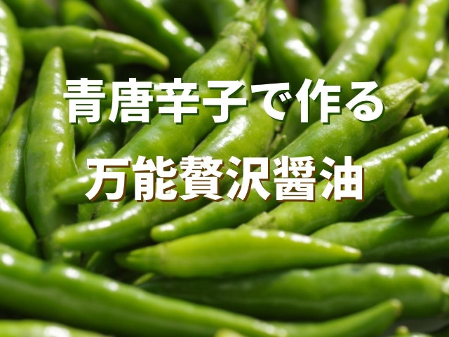 ピリ辛 特製青唐辛子醤油 決め手は辛みエキスの抽出方法にあり