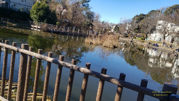 水平がずれてしまった風景画像